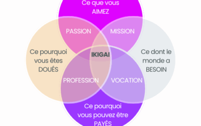 Bilan de compétence vs ikigai